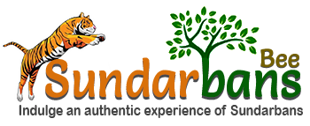 Sundarbans Bee